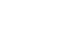 comillas identificativa de opiniones de clientes en el sentido literal